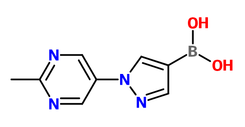 MC025399 1-(2-Methyl-pyrimidin-5-yl)-1H-pyrazole-4-boronic acid (image for) MC025399 1-(2-Methyl-pyrimidin-5-yl)-1H-pyrazole-4-boronic acid